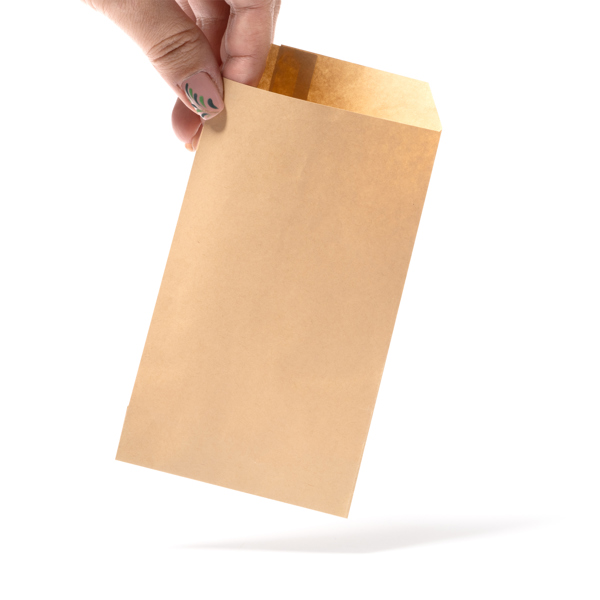 PAPER BAG MOSHI NATURAL