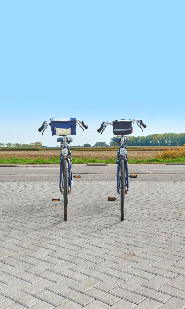 Polyester (600D) bicycle cooler bag Prisha