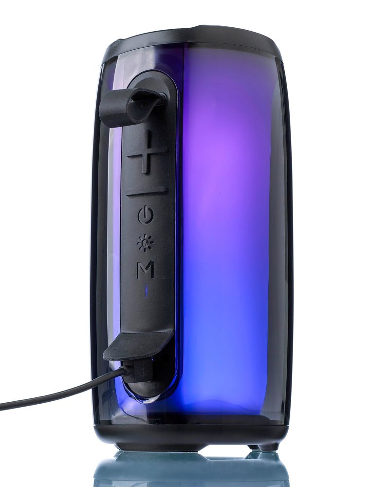 ABS outdoor speaker Lynette