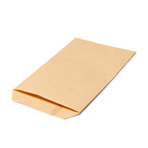 PAPER BAG MOSHI NATURAL