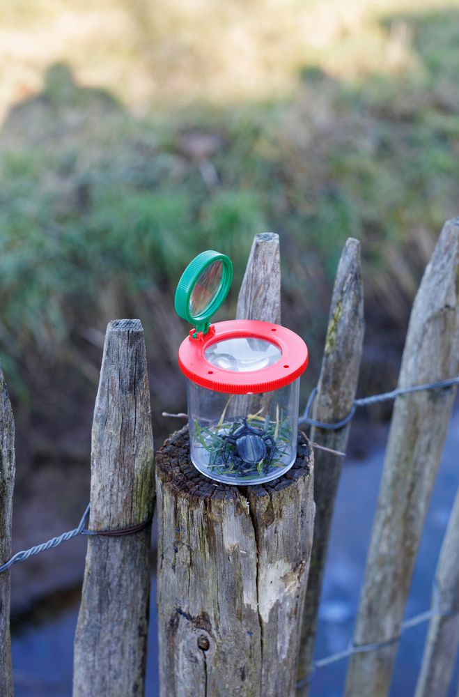 Magnify jar Sunlit