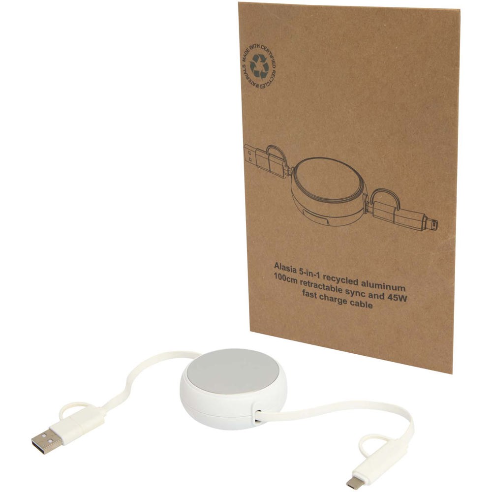 Alasia 5-in-1 100 cm recycled plastic and aluminium retractable data sync and 45W fast charge cable - Silver