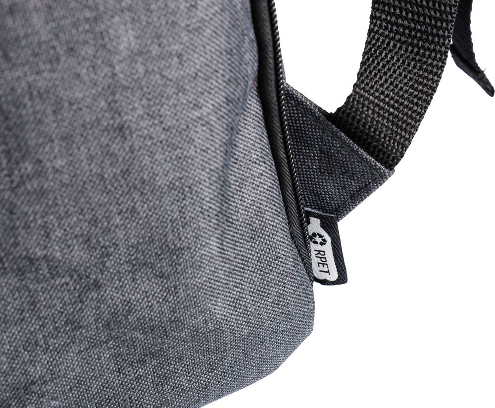 600D polyester canvas 15 inch laptop backpack Dennis